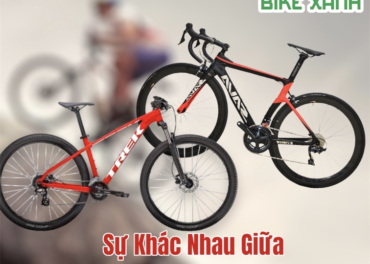 Khác biệt giữa xe đạp đua (road) và xe đạp địa hình (MTB)